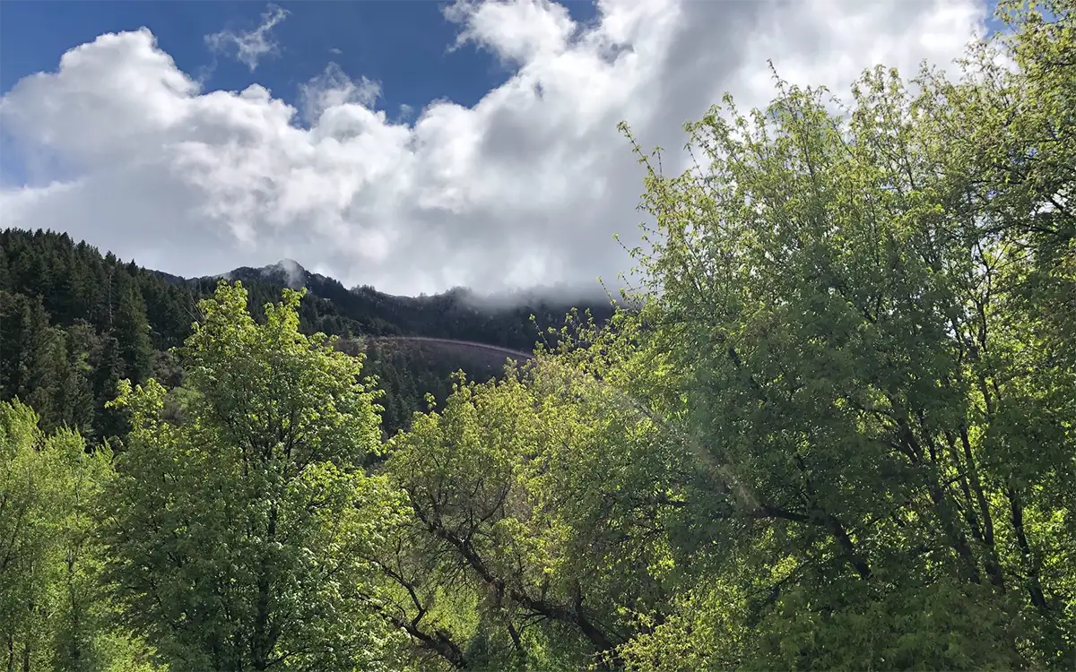 Cinnamon Creek Camp - View 2